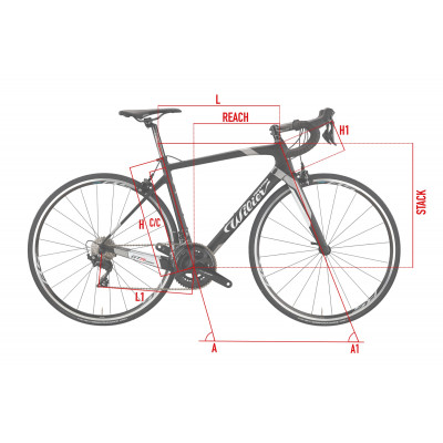Vélo course 700 carbon - WILIER 2022 GTR Team Rim Centaur - noir mat décor argent et blanc : 2x11v
