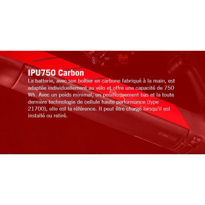 Vélo VTT VAE électrique 29/27.5 carbone ROTWILD 2022 Big Mountain R.X750 FS Ultra Red 750 - Gris carbon décor rouge : 150/152