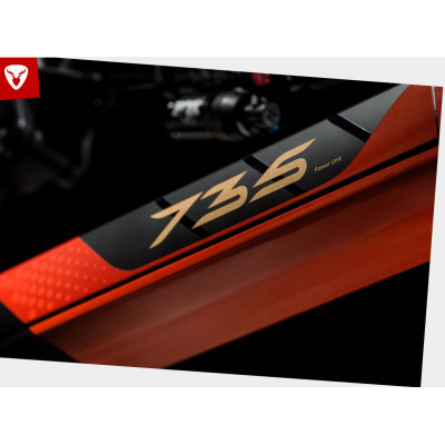  Vélo VTT électrique 29 carbone ROTWILD 2024 Enduro R.X735 FS Core Red 735 - Rouge décor noir et or : 150/144