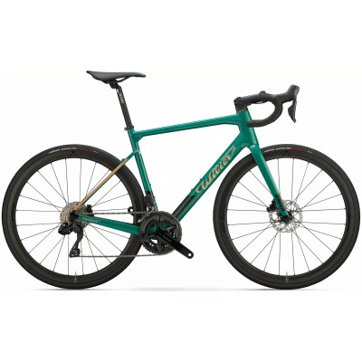 Vélo course 700 carbon - WILIER 2025 Garda Disc Rival AXS - Green