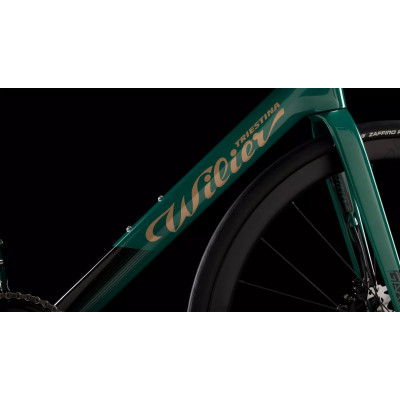 Vélo course 700 carbon - WILIER 2025 Garda Disc Rival AXS - Green