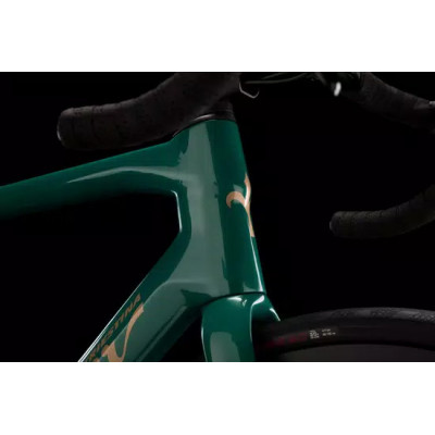 Vélo course 700 carbon - WILIER 2025 Garda Disc Rival AXS - Green