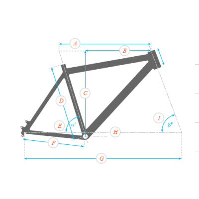 Vélo électrique VTT 29p alu - BULLS - SONIC Evo TR 1 29 625 - Gris clair décor noir: 120/120mm