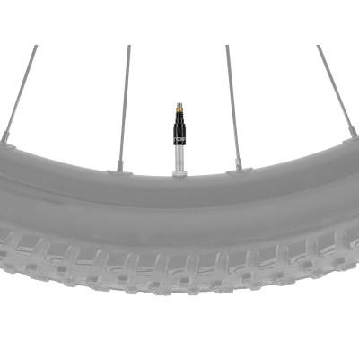 Obus de valve TOPEAK TurboFlow Combo 90 noir