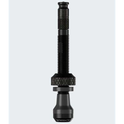 Obus de valve SCHWALBE Clik Valve 0 noir