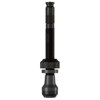 Obus de valve SCHWALBE Clik Valve noir
