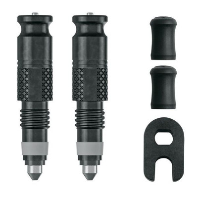 Obus de valve SCHWALBE Clik Valve noir