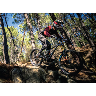 Poignées de guidon LIZARDSKINS caoutchouc vtt Gradient Single Lock-On 30.5/36.5 noire, ...