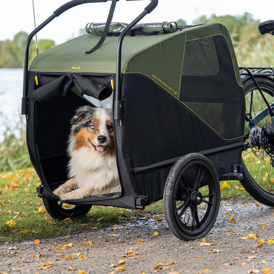 Remorque animaux XLC BS-C12 Dog 16 pour animaux petis et moyens