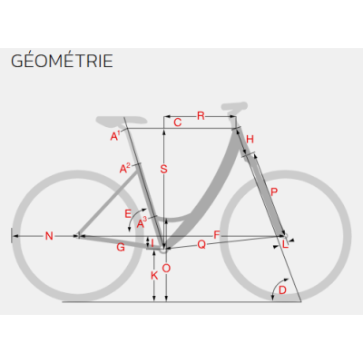 Vélo électrique ville 28p STEVENS alu E-Molveno Forma PB 400 Noir Velvet Black ou Bleu Polar Petrol