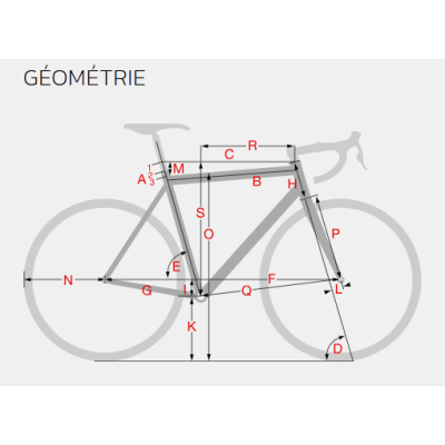 Vélo gravel 700 alu - STEVENS Gavere Eco - Khaki vert brillant Décor noir: 2x10v
